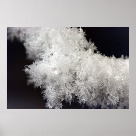 マクロスノーフレークポスター ポスター (正面)