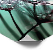 マクロタンポポ種子の水滴写真 ポスター (角)