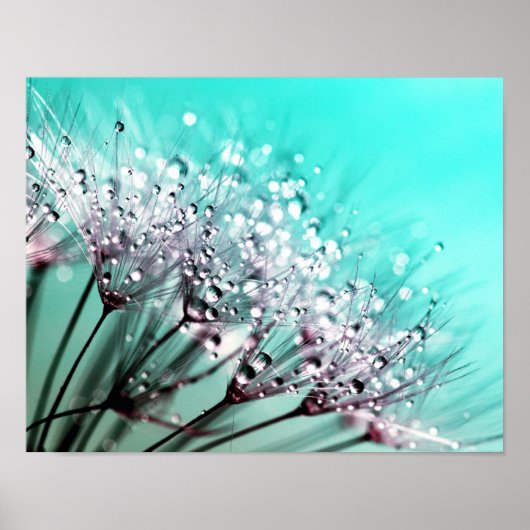 マクロタンポポ種子の水滴写真 ポスター (正面)