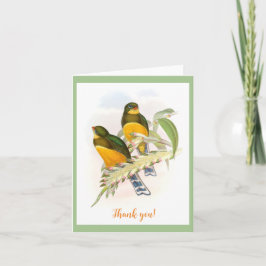 マクロットのトローゴン（Macklot's Trogon、1850-1883） カード