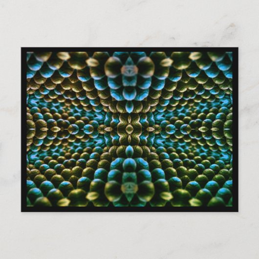 マクロデリック葉書 ポストカード (正面)