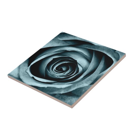 マクロバラ タイル (側面)