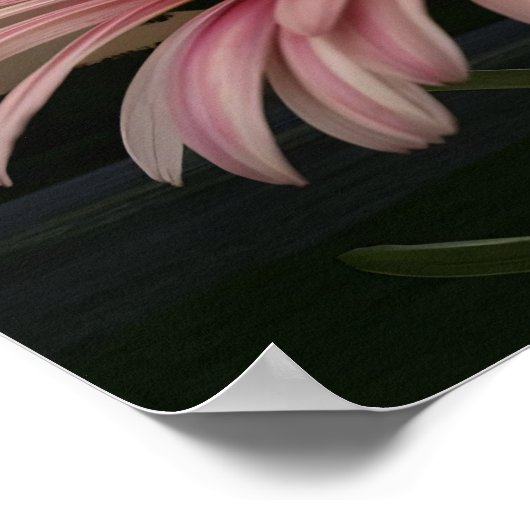 マクロビー ポスター (角)