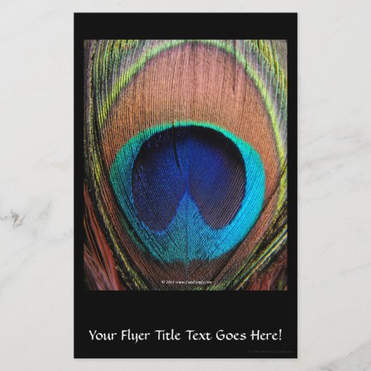 マクロピーコックフェザーリッチブルースフォト チラシ (正面)