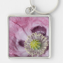 マクロフォトパープルの情熱の花 – 