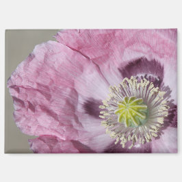 マクロフォトパープルの情熱の花 –  マグネット