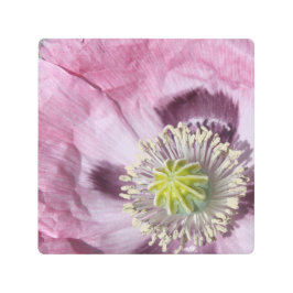 マクロフォトパープルの情熱の花 –  メタルプリント