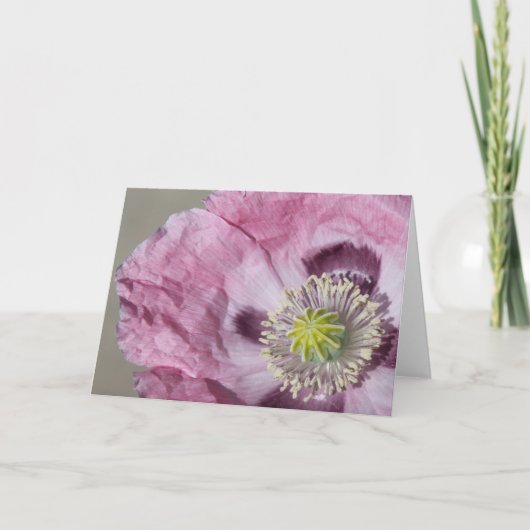 マクロフォトパープルパッションフラワー空白の- card サンキューカード (正面)
