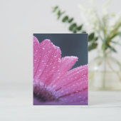 マクロフォトフラワー ポストカード (スタンド正面)