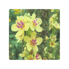 マクロフォト – 黄色と紫の花 –  メタルプリント