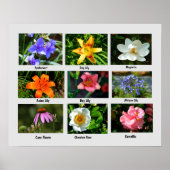 マクロフラワーポスター ポスター (正面)