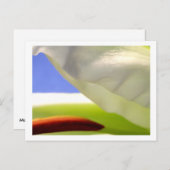 マクロリリーII ポストカード (正面/裏面)