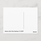 マクロリリーII ポストカード (裏面)