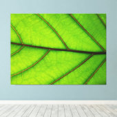 マクロリーフの3パネルキャンバス印刷 キャンバスプリント (インサイチュ (ウッドフロア))