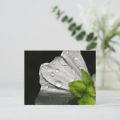 マクロ撮影 白い花 ポストカード (スタンド正面)