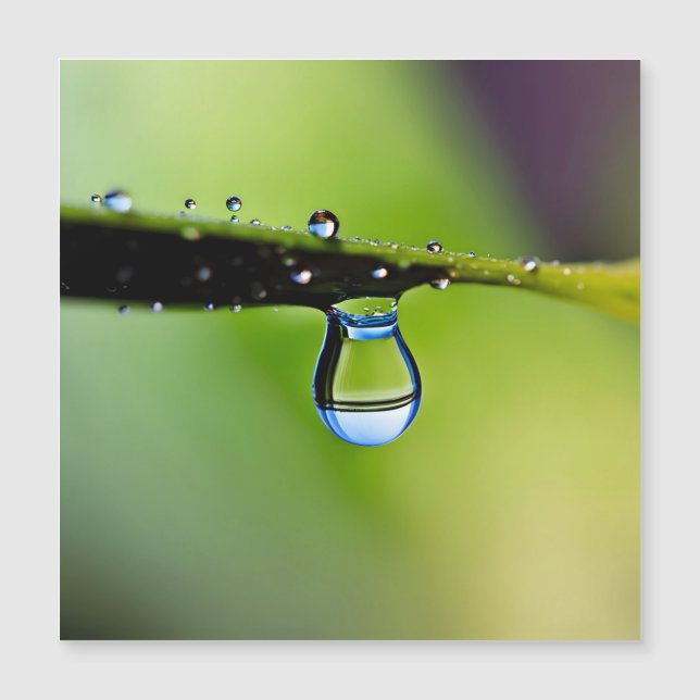 マクロ水滴 (正面)