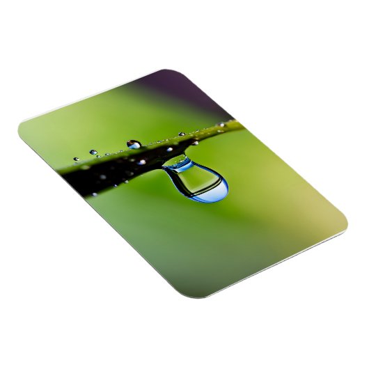 マクロ水滴 マグネット (右側)