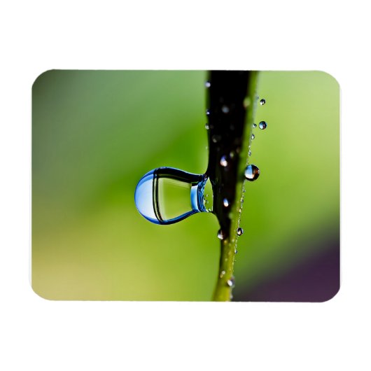 マクロ水滴 マグネット (横)