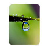 マクロ水滴 マグネット (縦)