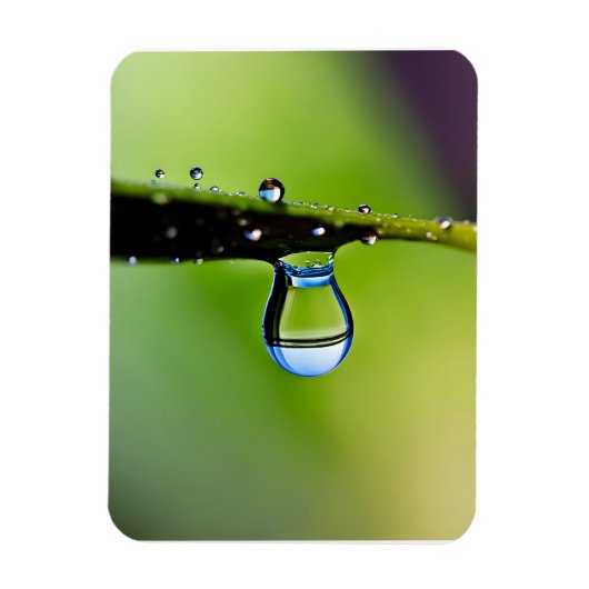 マクロ水滴 マグネット (縦)