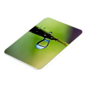 マクロ水滴 マグネット (左側)