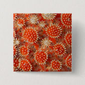 マクロ海星 缶バッジ (正面)