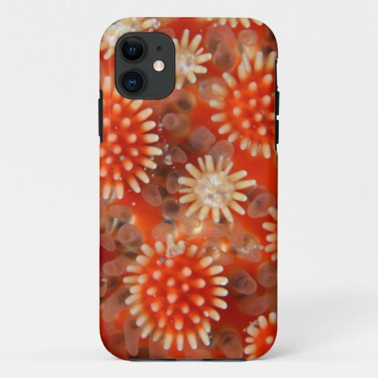 マクロ海星 Case-Mate iPhoneケース (裏面)