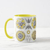 マクロ海生物アメーバ マグカップ (左)