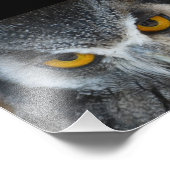 マクロ白黒フクロウ フォトプリント            (角)