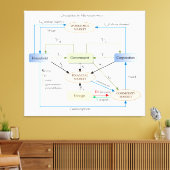 マクロ経済学の循環図 キャンバスプリント (インサイチュ (リビング))