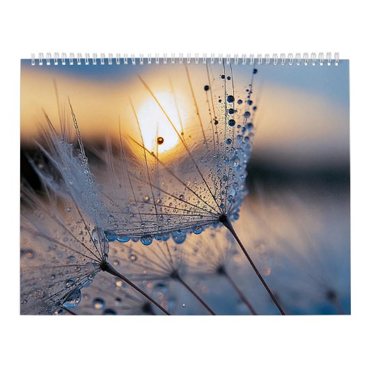 マクロ自然写真 カレンダー (カバー)