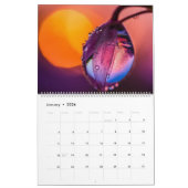 マクロ自然写真 カレンダー (1月 2026)