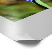 マクロ花写真拡大 フォトプリント            (角)