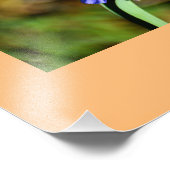 マクロ花写真拡大 フォトプリント            (角)