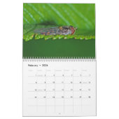 マクロ虫の壁掛けカレンダー カレンダー (2月 2026)