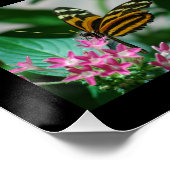 マクロ蝶の写真の拡大 ポスター (コーナー)