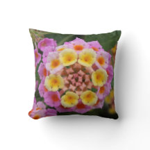 マクロ：ピンクと黄色のランタナの花