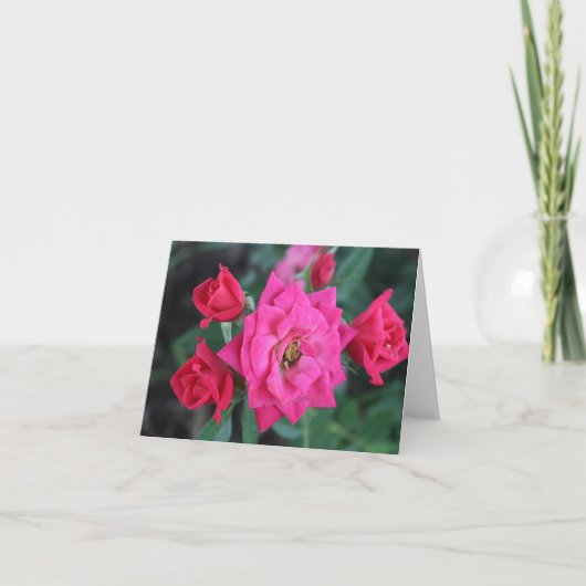 マクロ ピンクのバラ 母の日のために シーズンカード (正面)