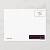 マクロ ブラックアンドホワイトオウル ポストカード (裏面)