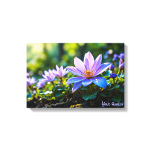 マクロ 紫の森の野花と露