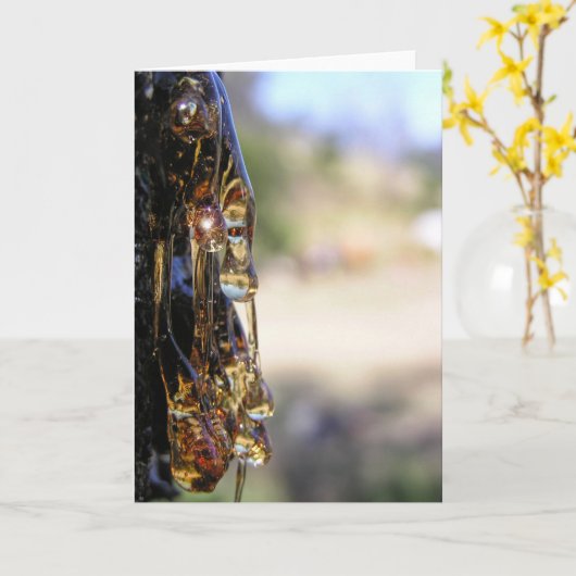 マクロ： Tree Sap Liquid Diamondsカード カード (黄色い花)