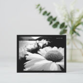 マクロB&Wフラワーバイリバーポストカード ポストカード (スタンド正面)