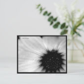 マクロB&Wフラワーポストカード ポストカード (スタンド正面)