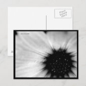 マクロB&Wフラワーポストカード ポストカード (正面/裏面)
