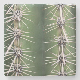 マクロSaguaro Cactus，アリゾナ，正方形の石コースター ストーンコースター