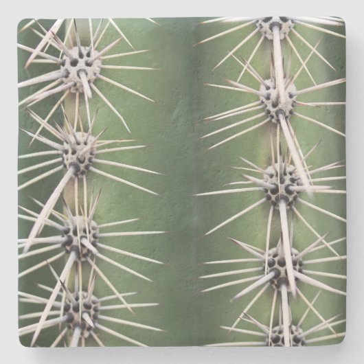 マクロSaguaro Cactus，アリゾナ，正方形の石コースター ストーンコースター (正面)