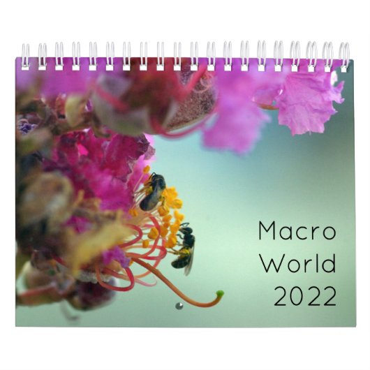 マクロWorld 2022 カレンダー (カバー)