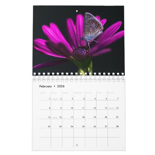 マクロWorld 2022 カレンダー (2月 2026)