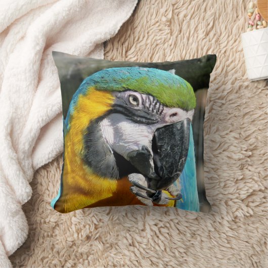 マクaws クッション (ブランケット)