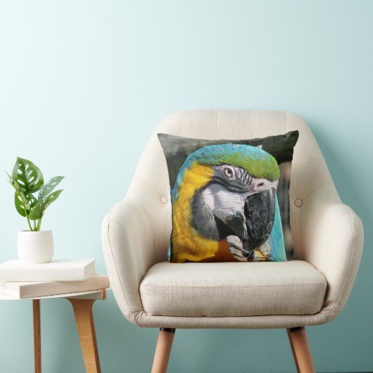 マクaws クッション (椅子)